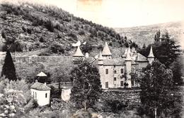 ¤¤    -   LE BLEYMARD    -  Chateau Du Champ Près D'Altier        -  ¤¤ - Le Bleymard