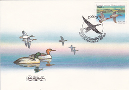 RUSSIA, Birds, Ducks - Lettres & Documents