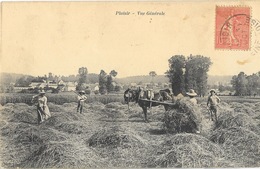 Plaisir (Seine-et-Oise) Vue Générale: Ramassage Des Foins Dans Un Champ - Edition Desrolles - Plaisir