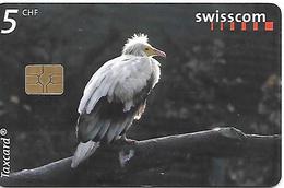 CARTE-PUCE-SUISSE-5CHF-VAUTOUR Percnoptere-TBE - Eagles & Birds Of Prey