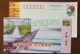 Greenhouse Cucumber,China 2001 Yunmeng Pollution Free Vegetables Advertising Pre-stamped Card - Groenten