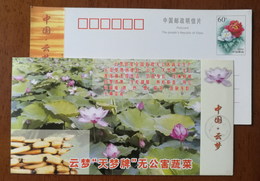 Lotus Flowers & Lotus Leaves,Lotus Root,China 2001 Yunmeng Pollution Free Vegetables Advertising Pre-stamped Card - Groenten