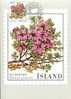 ISLANDE CARTE MAXIMUM   NUM YVERT  643 FLEURS - Cartes-maximum