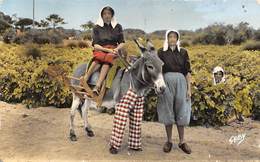 Ile De Ré.    17        Femmes Dans Les Vignes . Ane En Culotte    1958-2       (voir Scan) - Ile De Ré