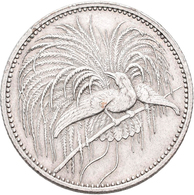 Deutsch-Neuguinea: ½ Neu-Guinea Mark 1894 A, Paradiesvogel, Jaeger 704, Kratzer, Sehr Schön. - Duits Nieuw-Guinea