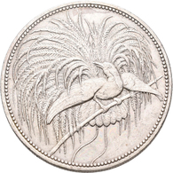 Deutsch-Neuguinea: 5 Neu-Guinea Mark 1894 A, Paradiesvogel, Jaeger 707, Kratzer, Sehr Schön - Vorzüg - Nouvelle Guinée Allemande