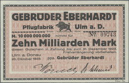 Deutschland - Notgeld - Württemberg: Ulm, Gebrüder Eberhardt, Pflugfabrik, 1 Mio. Mark, 25.8.1923, S - [11] Local Banknote Issues