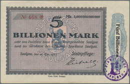 Deutschland - Notgeld - Württemberg: Saulgau, Amtskörperschaft, 15 Scheine Von 1/2 Mio. Bis 5 Billio - [11] Local Banknote Issues