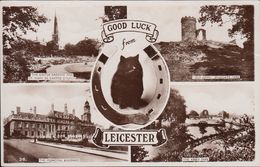 UK - Leicester - Views - Cat - Old Pictures - Nice Stamp - Leicester