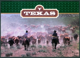 USA  - TEXAS ROUNDUP  - COWBOYS  -  CATTLE  -  HORSE  - UNUSED - Abilene