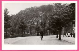 Dordrecht - Dubbeldamseweg Bij De Mariastraat Omstreeks 1905 - Foto Verz. W. MEIJERS - Edit. KOOS VERSTEEG - Dordrecht