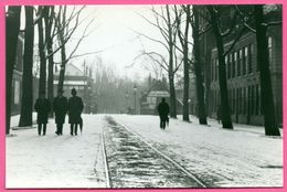 Dordrecht - Johan De Wittstraat Omstreeks 1905 - Foto W. MEIJERS - Edit. KOOS VERSTEEG - Dordrecht