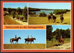 D2535 - TOP Angermünde Gestüt Reiter Reittouristik Gehegemühle - Bild Und Heimat Reichenbach - Angermünde