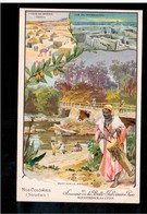 SOUDAN Nos Colonies  Pont Sur Le Baoule Ca 1905  Old Postcard - Sudan