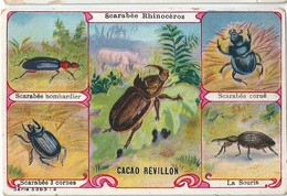 Chromos Cacao Revillon  Les Scarabées Bombardier 3 Cornes Corné La Souris - Revillon