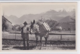 Haute-Gruyère, Neirivue ? Muletier (barlatè). Carte-photo - Neirivue