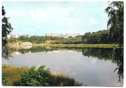 D57 - CREUTZWALD - LE PLAN D'EAU - CPSM Grand Format - Creutzwald