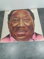 Muddy Waters - I'M READY - Bluesky SKY 822.35 - 1978 - - Blues