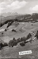 OBERSTAUFEN-ALLGAU-REAL PHOTO - Oberstaufen