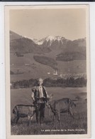 Lessoc, Petit Chevrier De La Haute-Gruyère / Ziegen / Goats - Lessoc