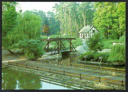 D2299 - TOP Ückermünde Tierpark - Bild Und Heimat Reichenbach - Ueckermuende