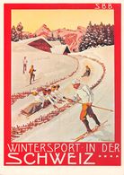 Reproduction: Wintersport In Der Schweiz - Skifahrer - Plakat SBB-CFF 1904(15 X 10 Cm ) - Port