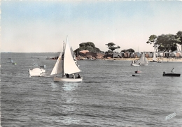 ¤¤  -  ILE-de-NOIRMOUTIER    -  La Pointe Saint-Pierre    -   ¤¤ - Noirmoutier