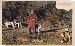 ¤¤  -   Les Chasses Dans La Forêt Du GAVRE  -  Avant La Curée   -  Chiens , Chasse à Courre    -   ¤¤ - Le Gavre