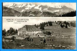 OLI119, Hôtel De La Vue Des Alpes, Cernier, Animée, édit. Numa Perrenoud, Circulée 1925 - Cernier