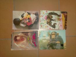 CAB0090 Animaux Lot De 4 Cartes : Singes - 5 - 99 Postcards