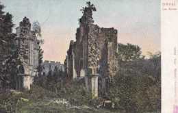 Orval - Les Ruines De L'Abbaye - Circulé - Florenville - TBE - Florenville