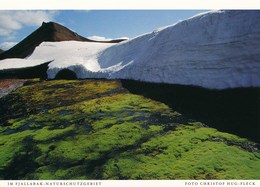 Island AK Fjallabak Naturschutzgebiet - Islande