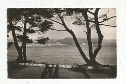 Cp, 06, ANTIBES , Vue Panoramique Sur La Ville Et Les Alpes , Voyagée 1956 - Antibes