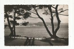 Cp, 06, ANTIBES , Vue Panoramique Sur La Ville Et Les Alpes , Voyagée 1956 - Antibes - Old Town