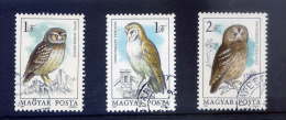 Hiboux Et Chouettes---HONGRIE---3 Timbres --Athene Noctua--- Tyto Alba---Strix Aluco - Gufi E Civette