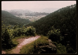 Dahn / Pfalz  -  Wanderweg  -  Wandern, Das Heißt Leben  -  Ansichtskarte Ca. 1975    (12106) - Dahn