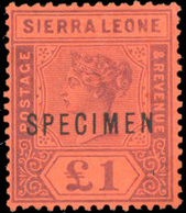 * N°41/53 - 13 Valeurs. Surcharge SPECIMEN. SG#41s/43s - Cote 300£. TB. - Sierra Leone (...-1960)