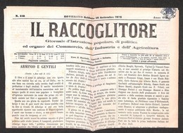 ANTICHI STATI ITALIANI - LOMBARDO VENETO - Falso Di Rovereto - Segnatasse - 1 Kreuzer (F1) Applicato Su Giornale (18.9.7 - Sonstige & Ohne Zuordnung