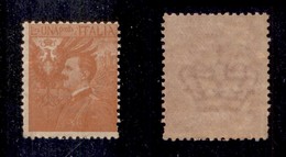 REGNO - SAGGI - 1904 - 1 Lira (Unificato 79N) - Gomma Integra (800) - Other & Unclassified