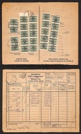 OCCUPAZIONI STRANIERE DI TERRITORI ITALIANI - OCCUPAZIONE TEDESCA - LUBIANA - Modulo Amministrativo Del 8.2.45 Con 24 Pe - Other & Unclassified