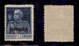 COLONIE - CIRENAICA - 1926 - 1,25 Lire Giubileo (26) Dent. 13 - Gomma Integra - Cert AG (1750) - Sonstige & Ohne Zuordnung