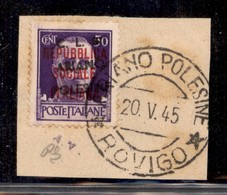 C.L.N. - ARIANO POLESINE - 1945 - 50 Cent (Errani 29r Varietà R) Usato Su Frammento - Soprastampa Obliqua + N Senza Punt - Other & Unclassified