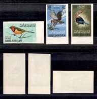 OLTREMARE - GIORDANIA - 1964 - Uccelli Posta Aerea (490B/492B) - Serie Completa - Non Dentellati - Gomma Integra (400) - Sonstige & Ohne Zuordnung