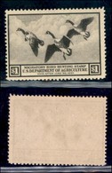 OLTREMARE - STATI UNITI D'AMERICA - Dipartimento Agricoltura - 1936 - 1 Dollaro (Scott RW3) - Gomma Integra - Sonstige & Ohne Zuordnung