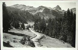 FLUMSERBERG Am Weg Nach Seeben Photo E. Widmer Walenstadt Gel. 1947 Stempel Kurhaus - Walenstadt