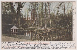 Oosterbeek - Groote Vijver Op Mariendaal - 1907 - Oosterbeek