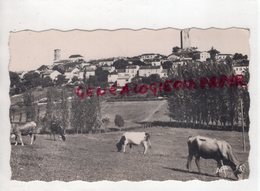 46 - MONTCUQ- VUE GENERALE 1959 - QUERCY LOT - Montcuq