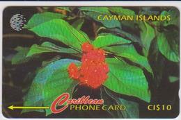 #07 - CARIBBEAN-066 - CAYMAN ISLANDS - BROADLEAF FLOWER - Kaaimaneilanden