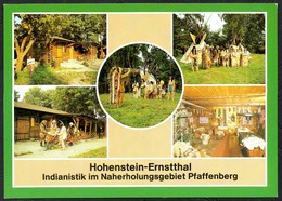 D2623 - TOP Hohenstein Ernstthal Indianistik Pfaffenberg - Bild Und Heimat Reichenbach - Qualitätskarte - Hohenstein-Ernstthal