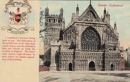 PC Exeter - Cathedral - 1907 (46563) - Exeter